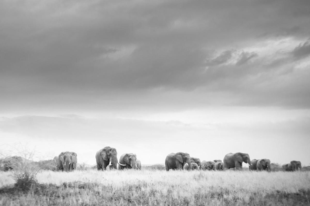 Rhino Sands Safari Camp Manyoni Private Game Reserve Esterno foto