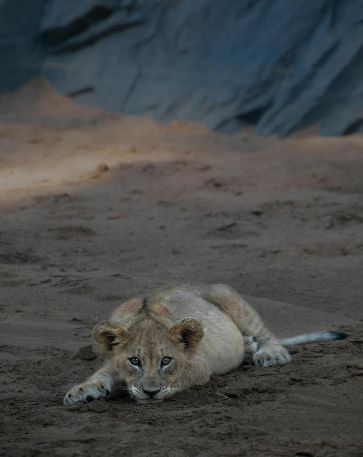 Rhino Sands Safari Camp Manyoni Private Game Reserve Esterno foto